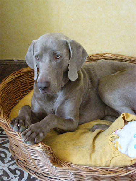 Oliver, Daily: 13 June 2005